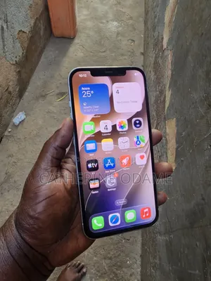 Apple iPhone 12 Pro Max 128 GB Silver