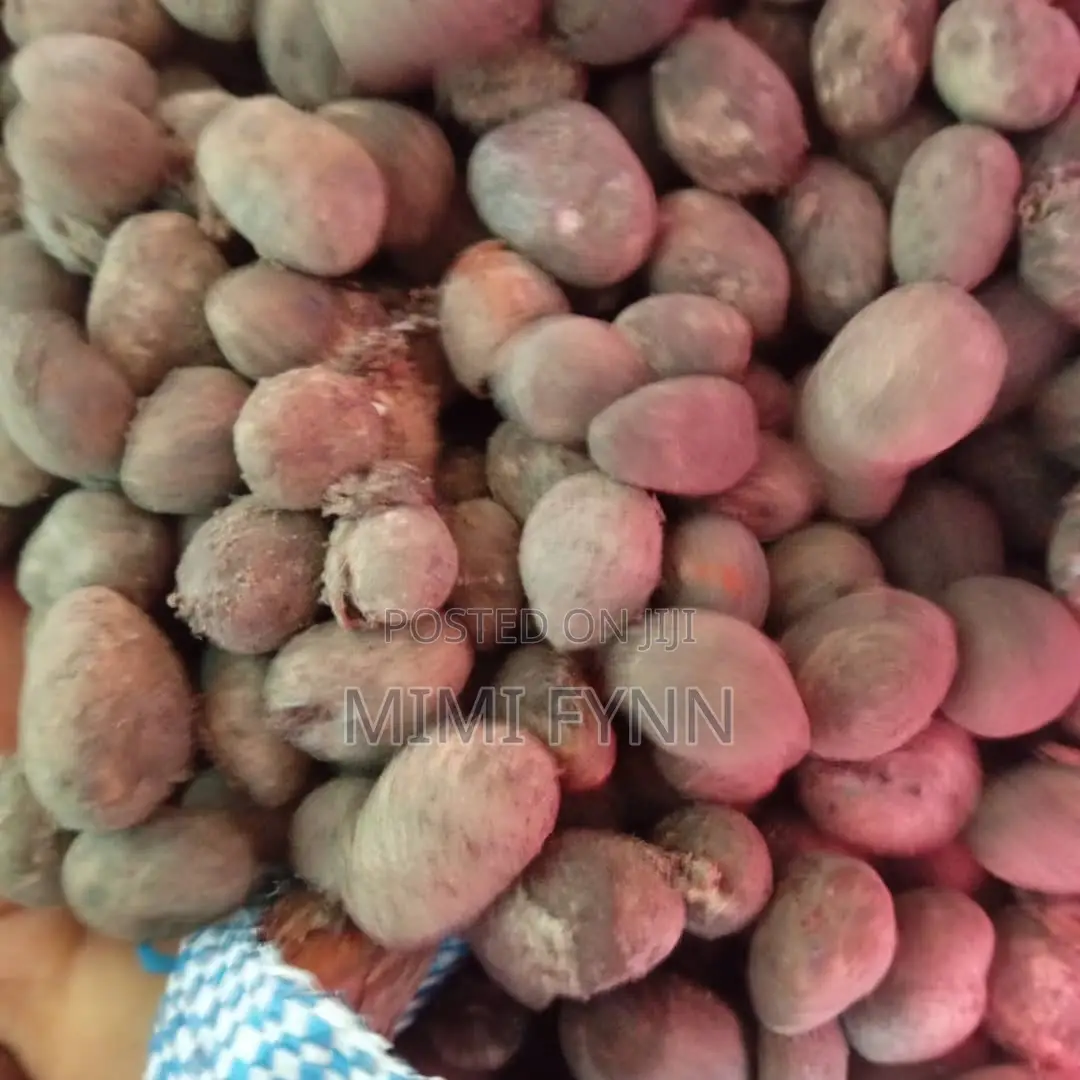 Bulk Dried Shea Nuts