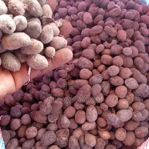 Bulk Dried Shea Nuts