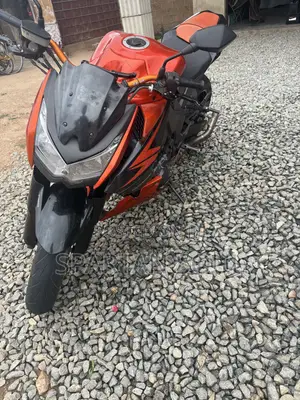 Kawasaki 2021 Orange
