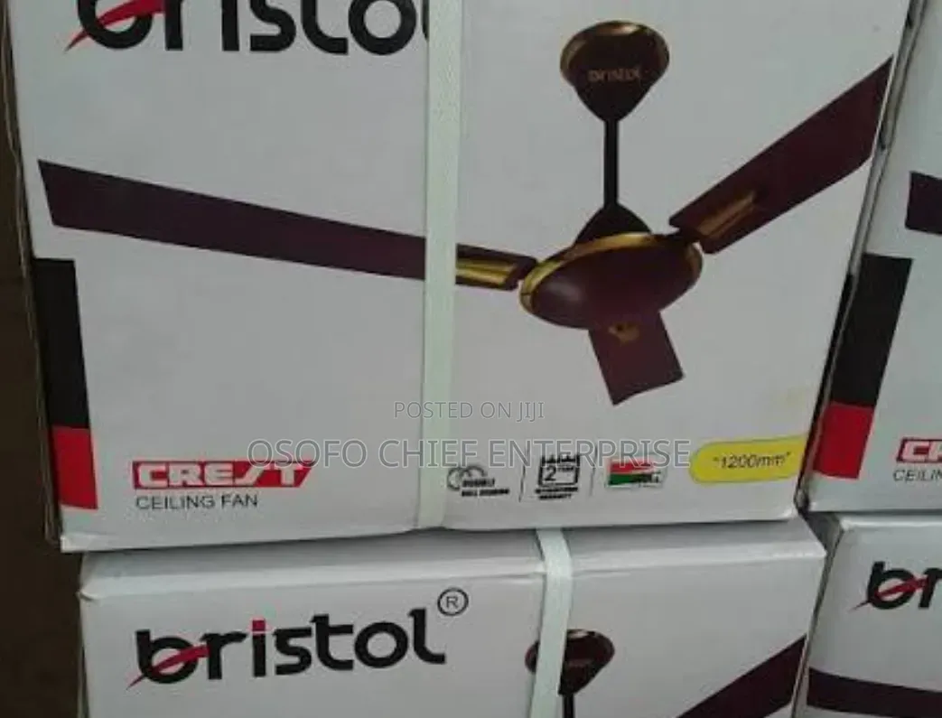 Kepas Decorative Ceiling Fan