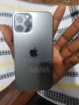 Apple iPhone 12 Pro Max 256 GB Silver