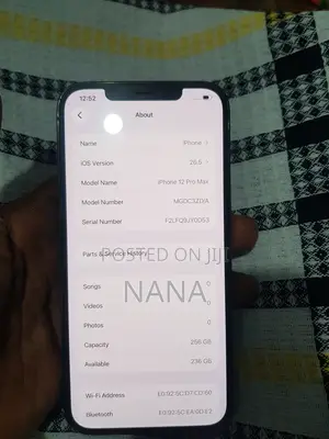 Apple iPhone 12 Pro Max 256 GB Silver