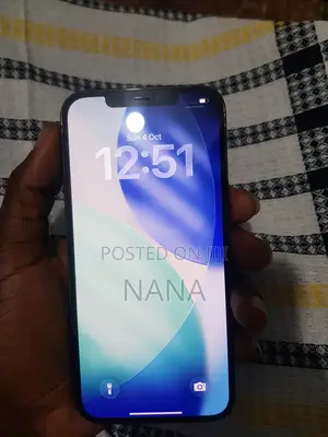 Apple iPhone 12 Pro Max 256 GB Silver