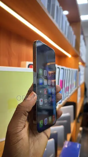 Apple iPhone 12 Pro Max 128 GB Gray