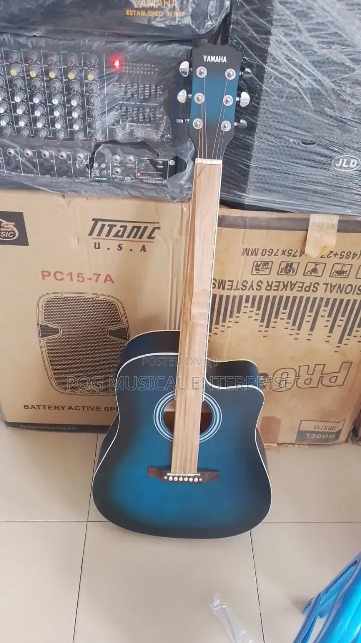 Semi Acoustic Guitar
