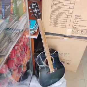 Semi Acoustic Guitar