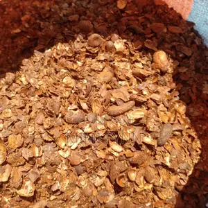 Cocoa Shells