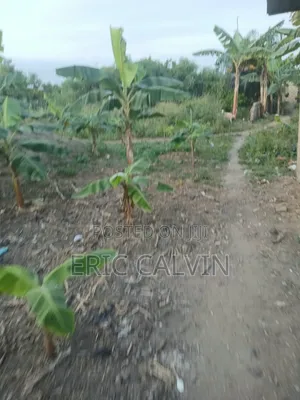 Ashalaja Titled Land With Dwarf Wall for Sale
