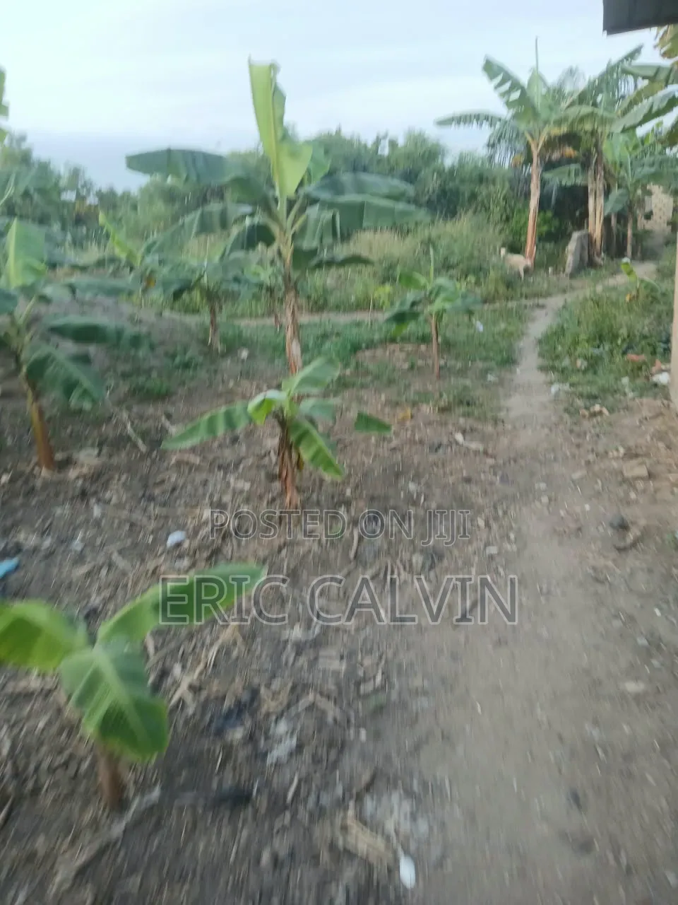 Ashalaja Titled Land With Dwarf Wall for Sale