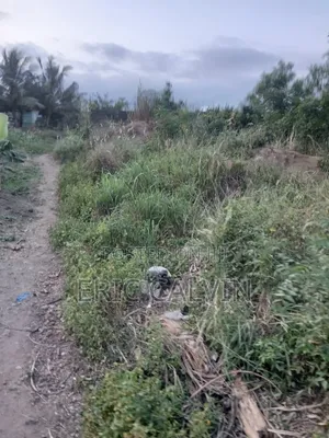 Ashalaja Titled Land With Dwarf Wall for Sale