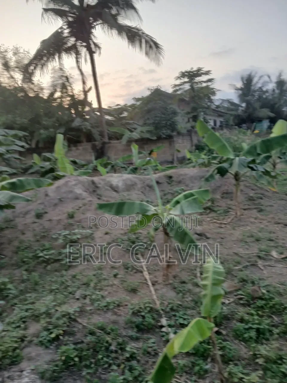 Ashalaja Titled Land With Dwarf Wall for Sale