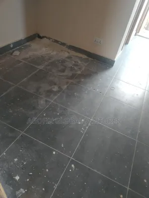 Cleaning in Accra