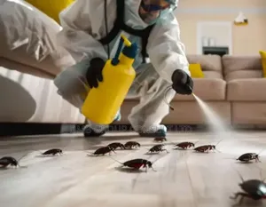 Fumigation & Pest Control 4u