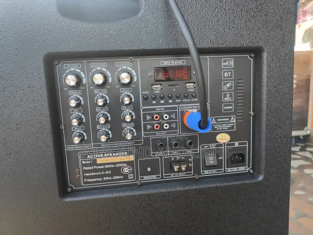 JAC 999 Active Speaker System With Microphones