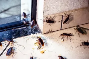 Fumigation & Fumigation