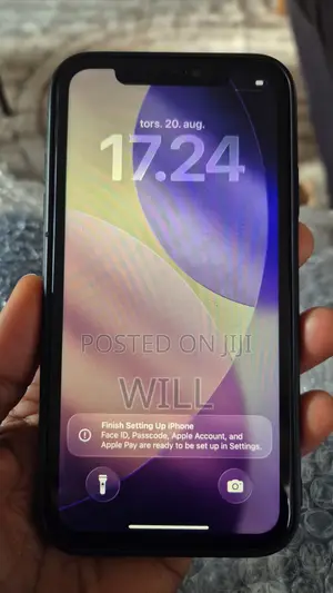 Apple iPhone 11 256 GB Gray