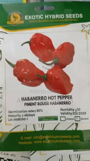 Vegetable Seeds for Planting