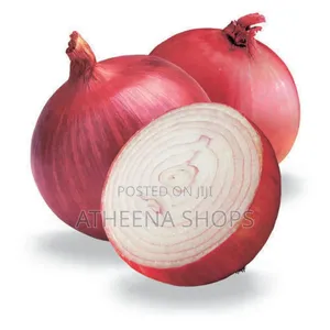 Vegetable Seeds for Planting