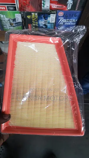 Nissan Sentra B16 2010 Air Cleaner Element