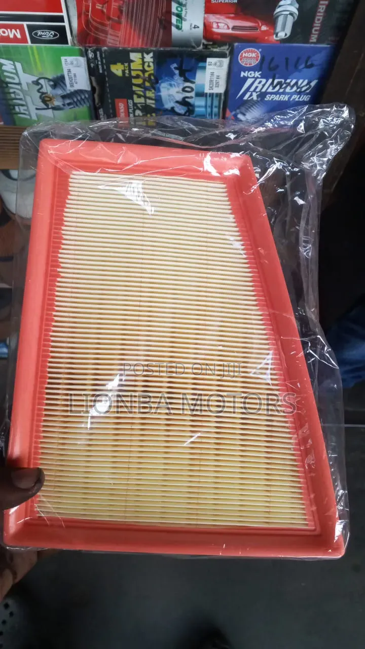 Nissan Sentra B16 2010 Air Cleaner Element