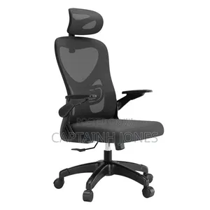 Ergonomic Chair