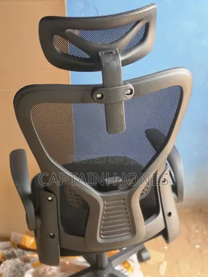 Ergonomic Chair