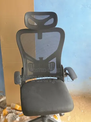 Ergonomic Chair