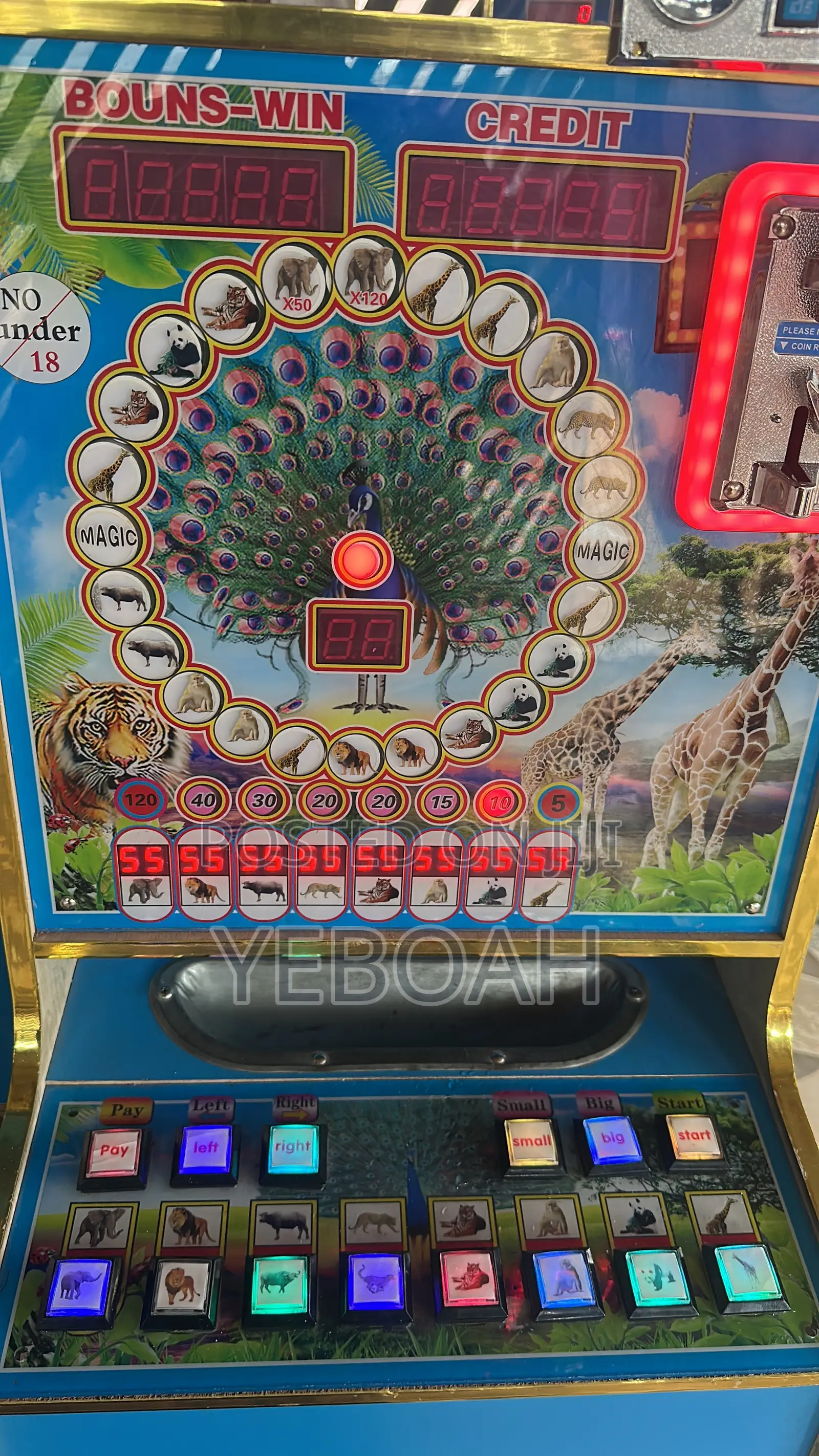 Jackpot Machine