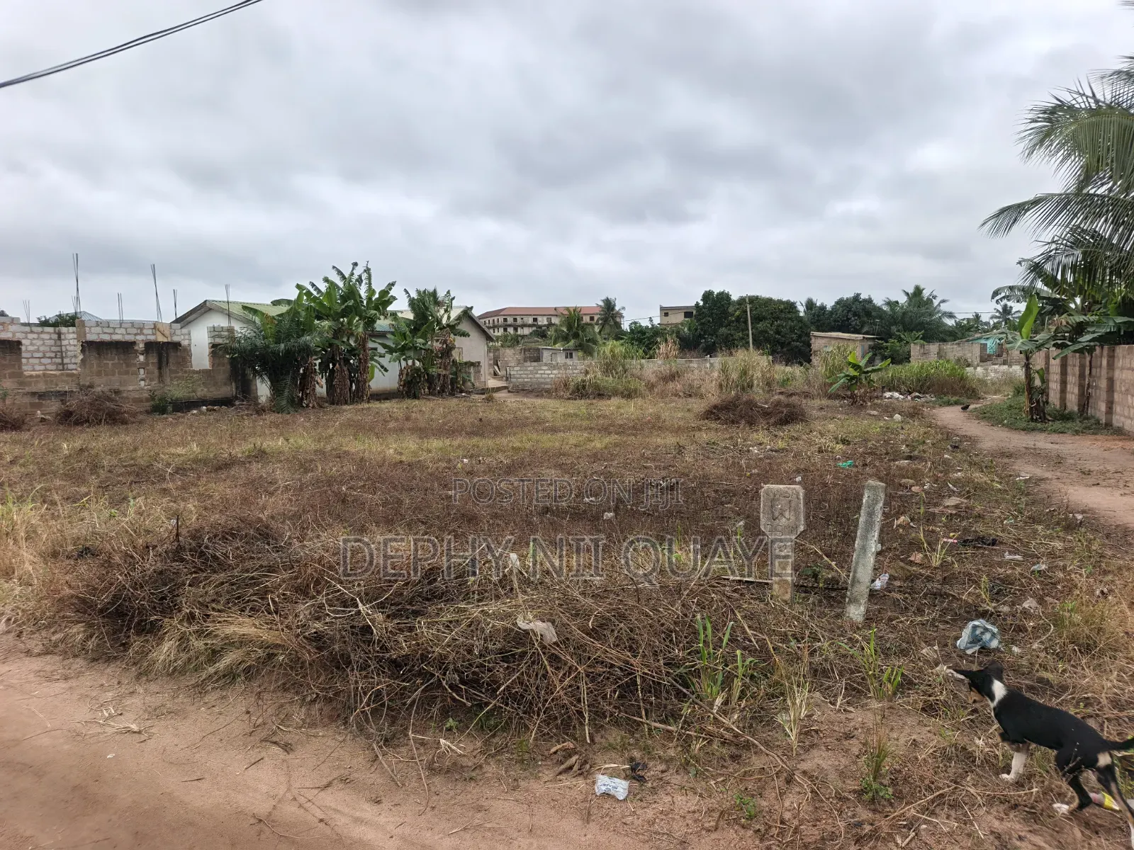 2 Plots of Land