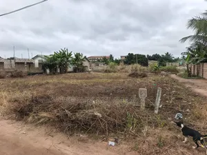 2 Plots of Land