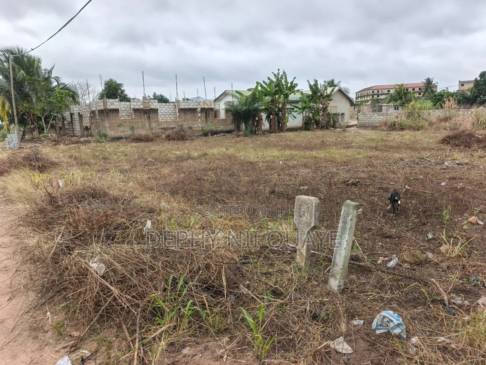 2 Plots of Land