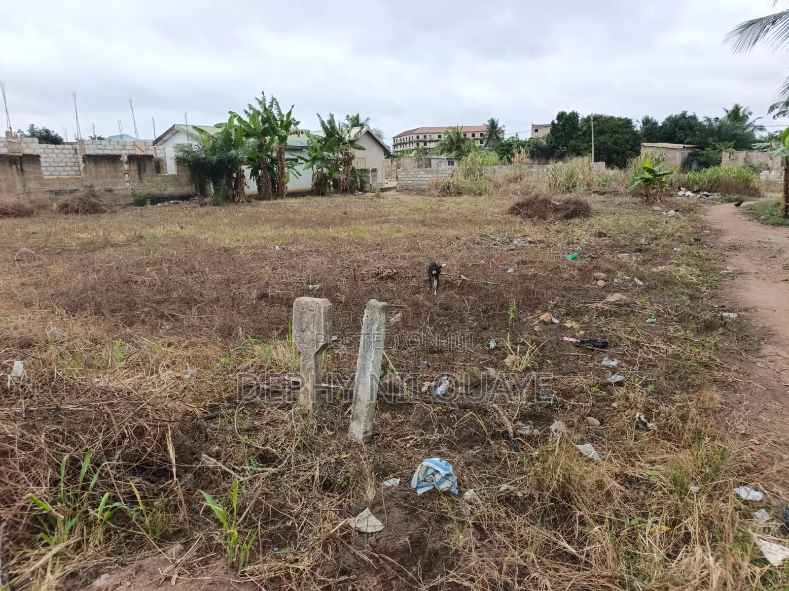 2 Plots of Land