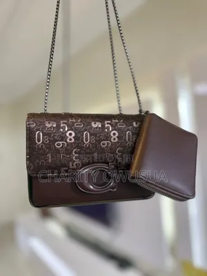 Ladies Hand Bag