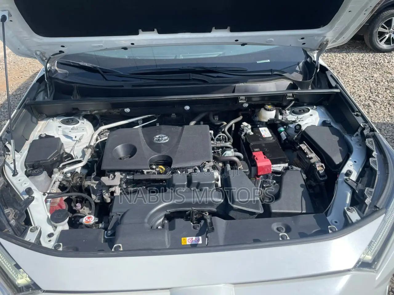 Toyota RAV4 Limited AWD 2024 White