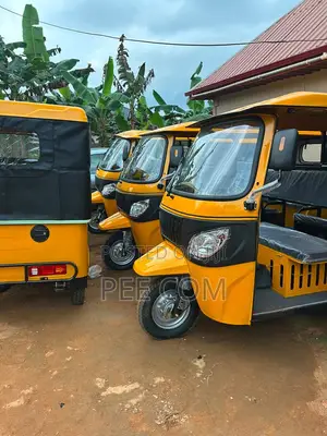 New Tricycle 2016