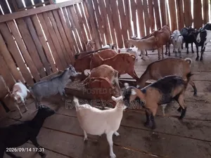 Farm Workers Needed