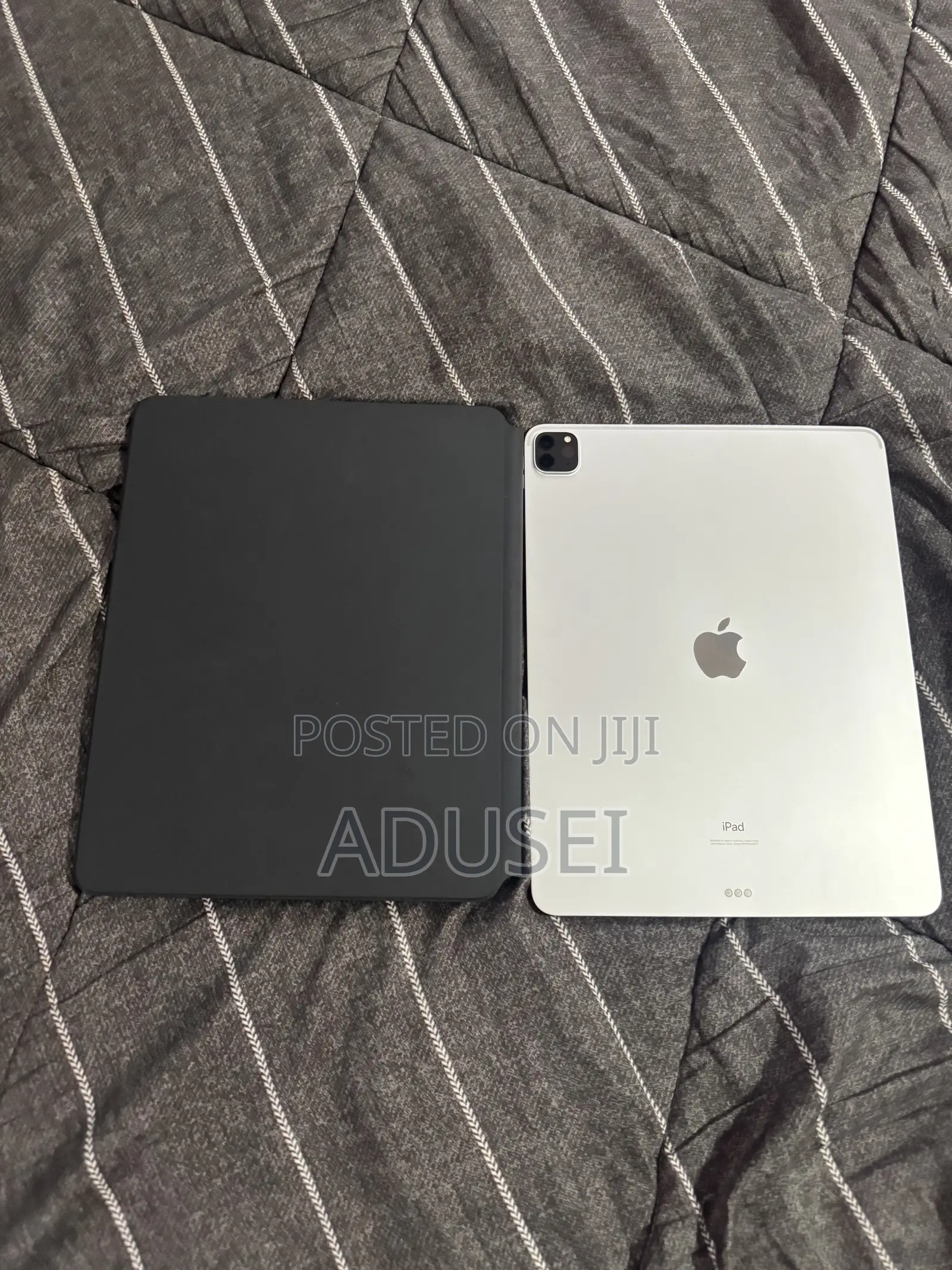 Apple iPad Pro 256 GB Gray