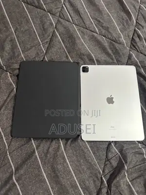Apple iPad Pro 256 GB Gray