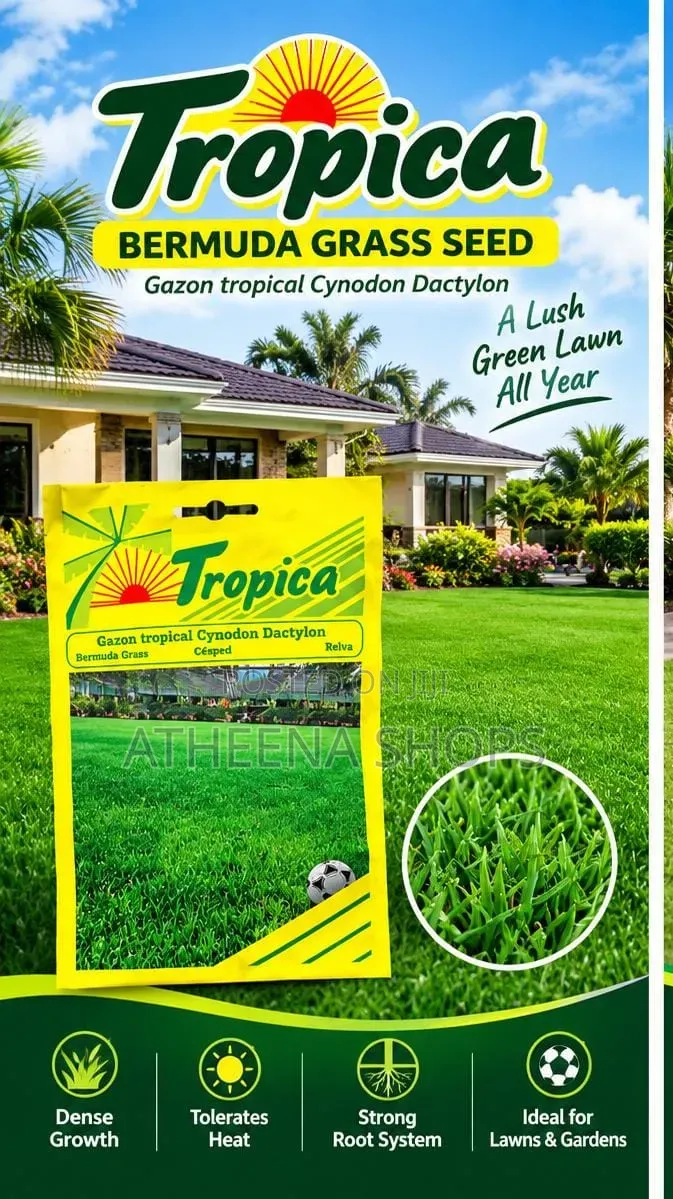 Carpet Grass Seeds (Bermuda)