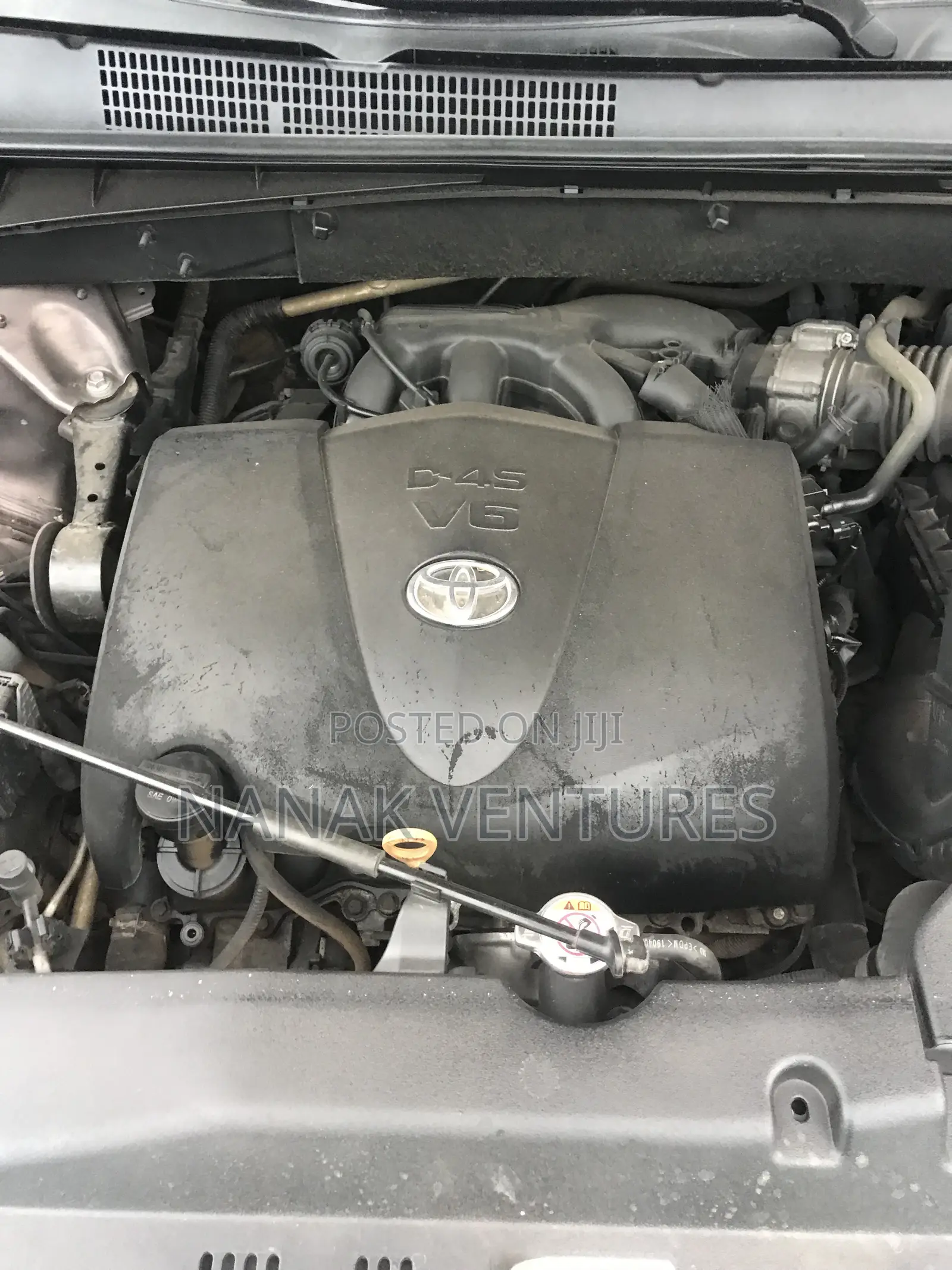 Toyota Highlander XLE 2019 Gold