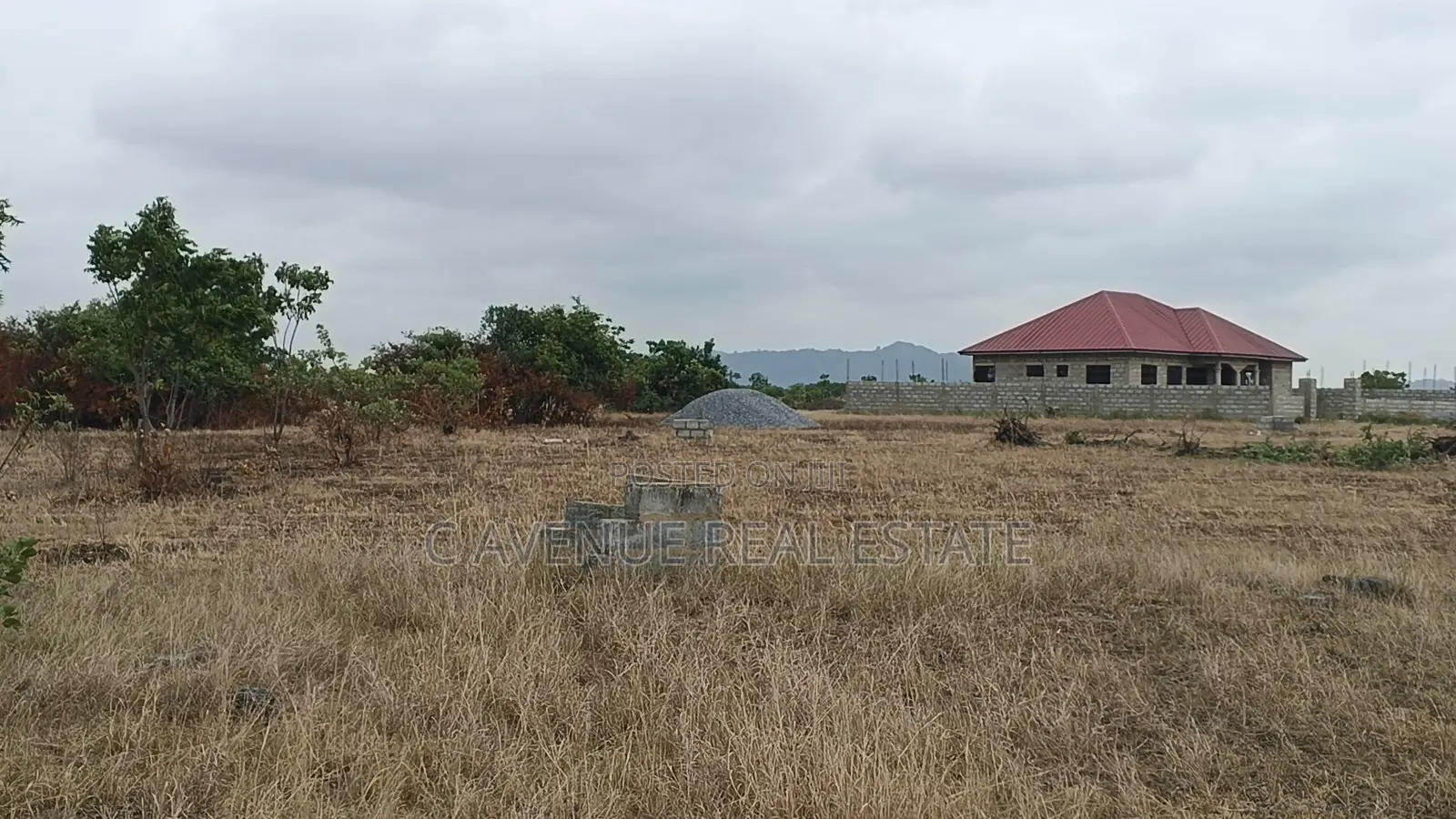 Ultimate Real Estate Deal: Shai Hills