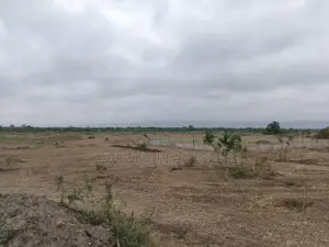 Ultimate Real Estate Deal: Shai Hills