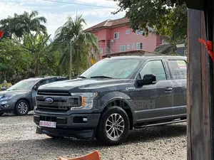Ford F-150 2020 Gray
