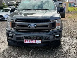 Ford F-150 2020 Gray