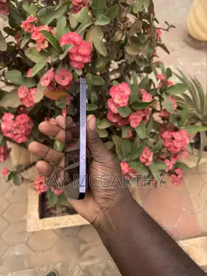 Apple iPhone 14 Pro Max 256 GB Purple