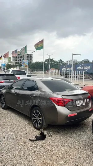 Toyota Corolla XSE (1.8L 4cyl 2A) 2019 Gray