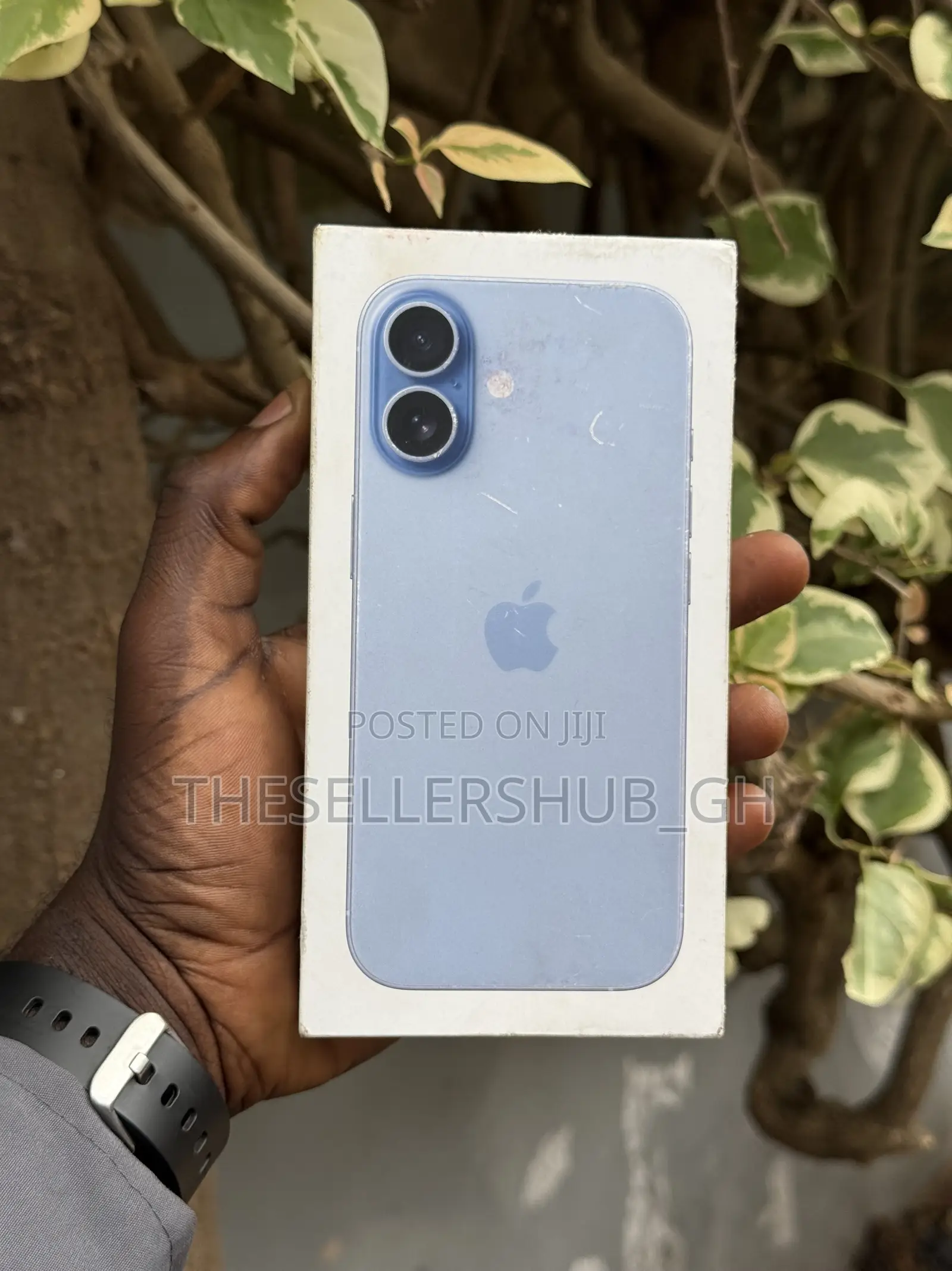 New Apple iPhone 17 256 GB Green