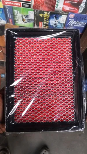 Nissan Air Cleaner Element
