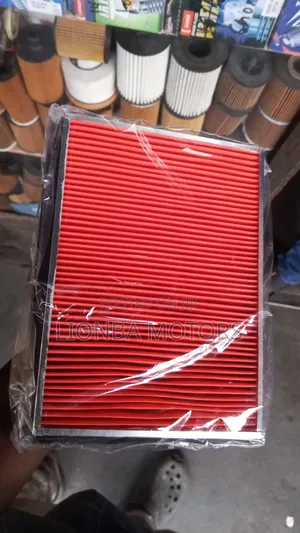 Nissan Air Cleaner Element